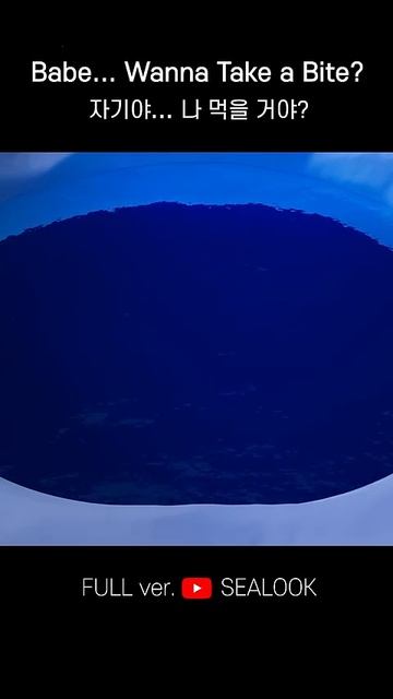 Babe... Wanna Take a Bite #shorts