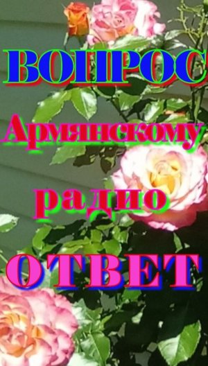 Цитаты Армянского Радио с вопросами и ответами не подвластны ни Google ни ИИ