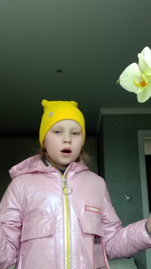 спасибо за всё