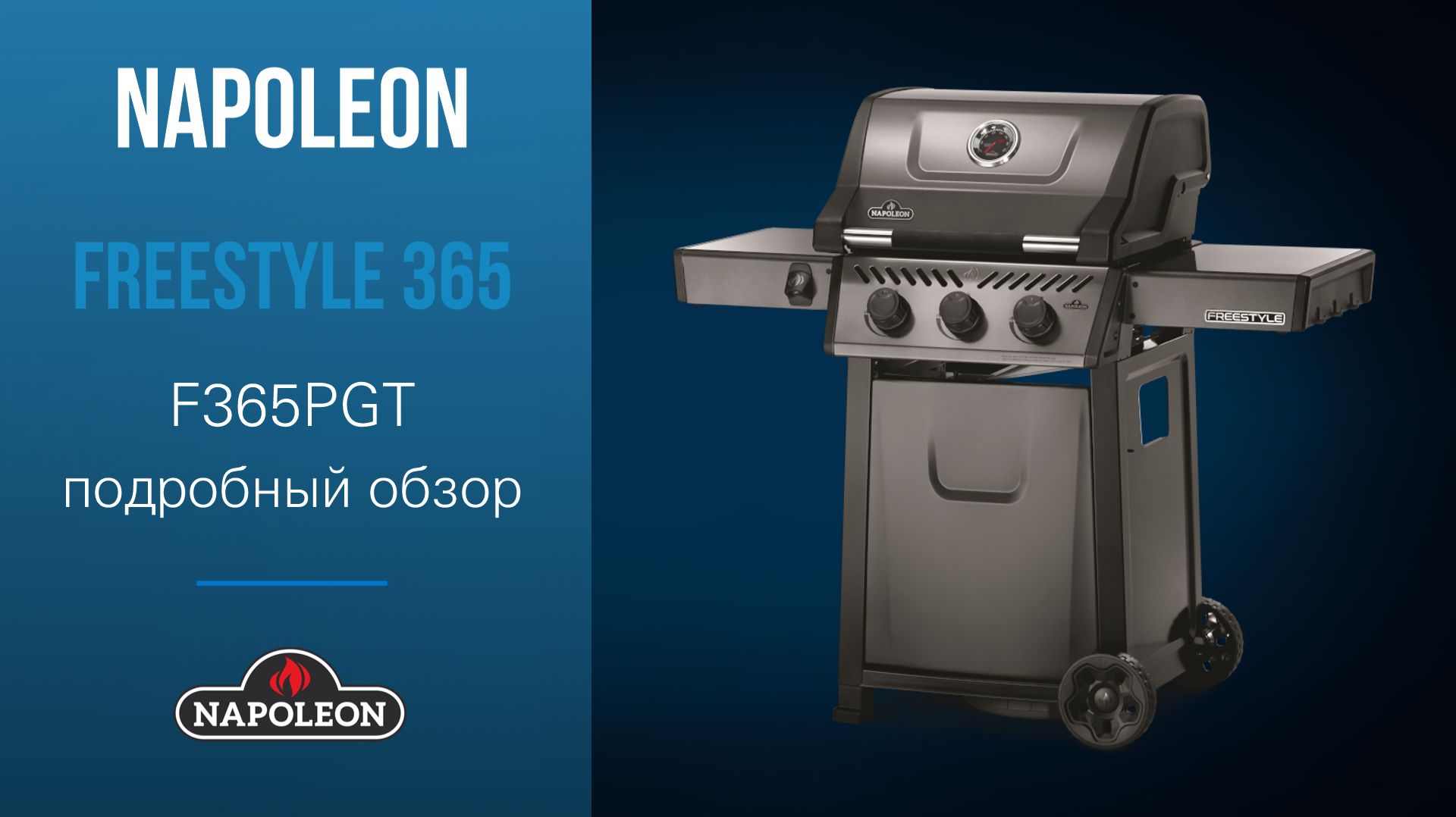 Freestyle 365 (Максин)