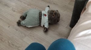 БАСИК СОБИРАЕТСЯ В ШКОЛУ? /★БАСИКИ ЛУЧШЕЕ★