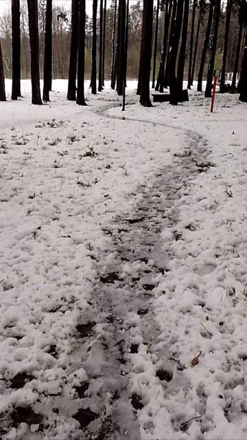 Одинцово. Подмосковье. Выпал в Апреле мокрый снег. Температура воздуха+1 градусов.#одинцово