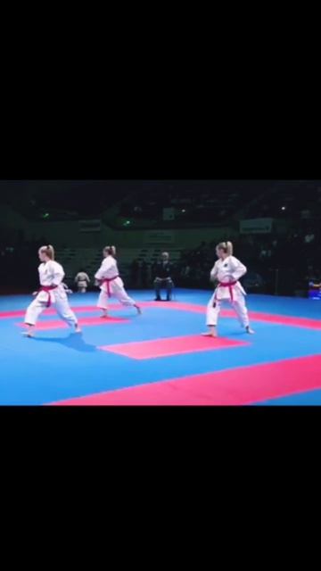 командное ката Ганкаку