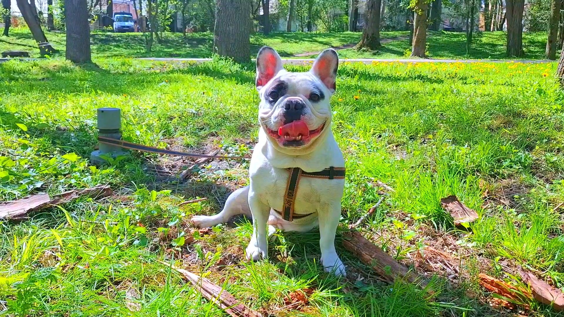 Курортный парк Ессентуки 28-04-2026