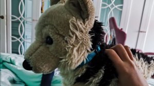 Мини влог/ОГРОМНЫЕ НОВОСТИ!/