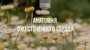 АНАТОМИЯ ОЖЕСТОЧЕННОГО СЕРДЦА  | АУДИО |	18	  мая 2026