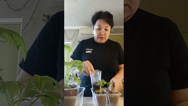 Мои формы для хлеба 🍞 Где я их покупала ✅