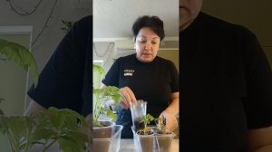 Мои формы для хлеба 🍞 Где я их покупала ✅