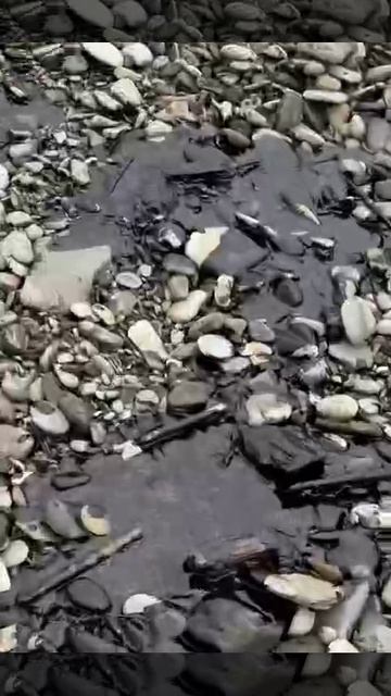 Туапсе, Краснодарский край. Нефть в море и на побережье.