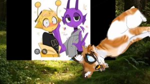 реакция на РУСЛАНА(окрас взяла у @Ara вроде)