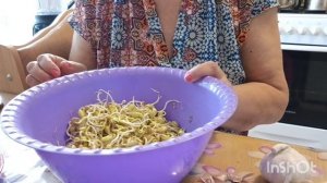Проращиваю СОЮ и готовлю из нее салат