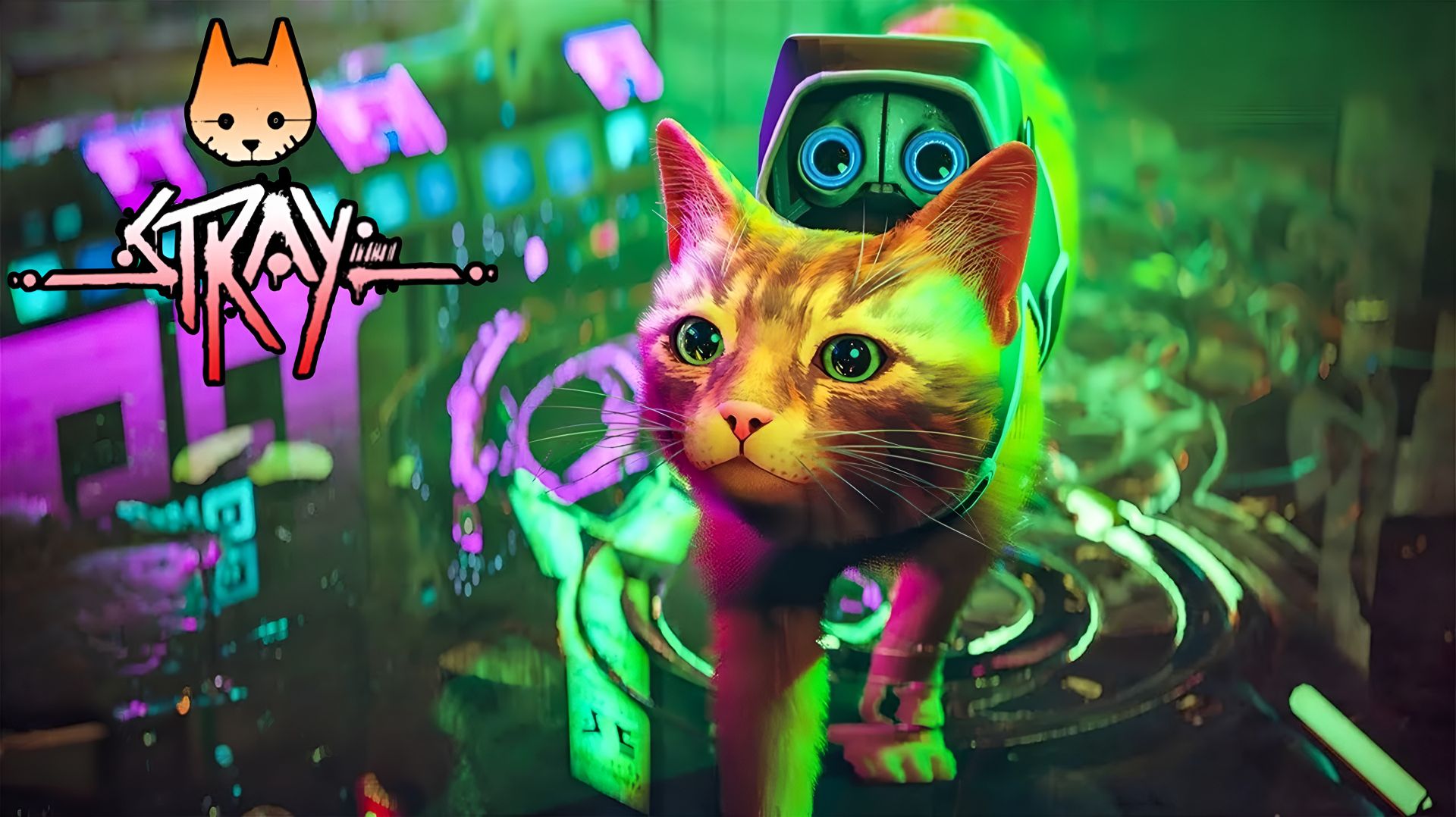 Секретное оружие Stray