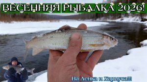 Весенняя Рыбалка! 2026! В Зейском районе! На Ленка и Хариса!!!