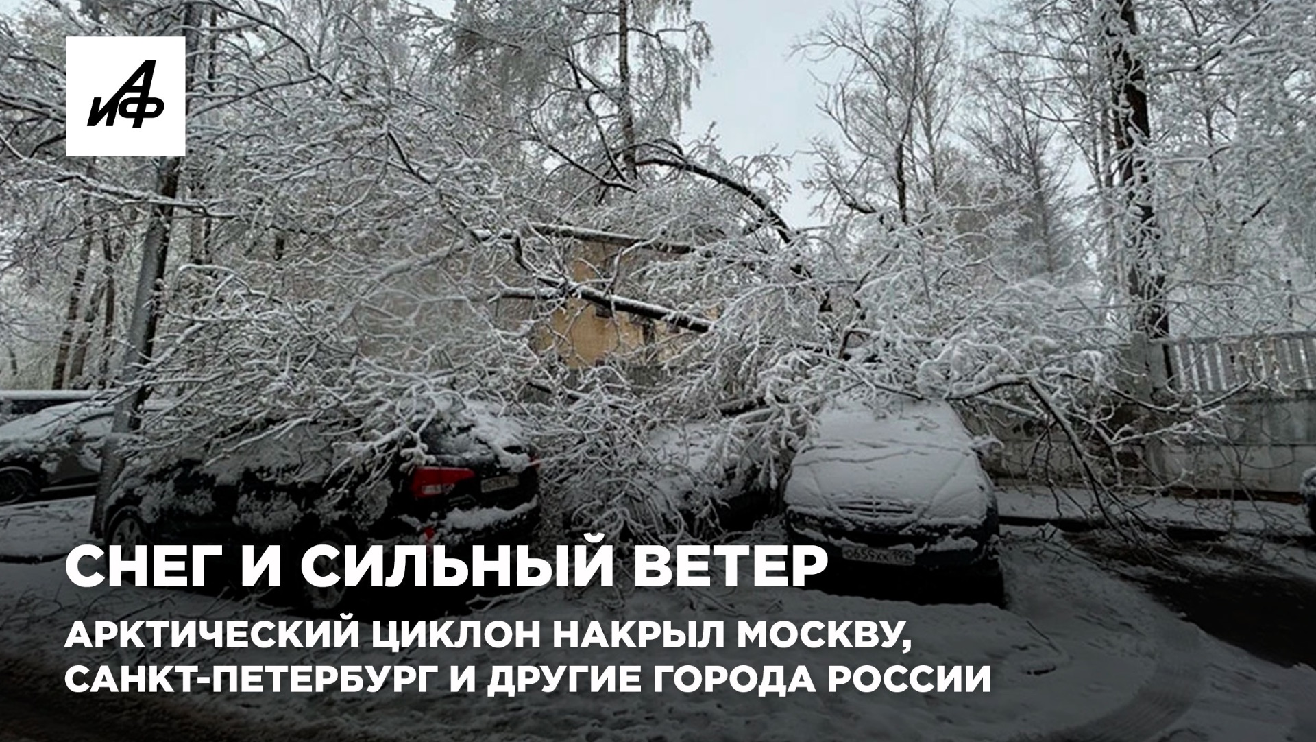 Снег и сильный ветер. Арктический циклон накрыл Москву, Санкт-Петербург и другие города России