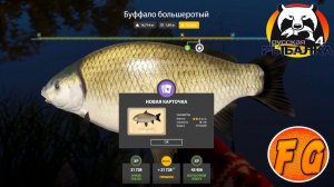 ТРОФЕЙНЫЙ БУФФАЛО на АХТУБЕ. Russian Fishing 4. Русская рыбалка 4. рр4