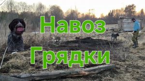 Спасаем грядки. Спасаем навоз.