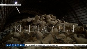 Свалка токсичных пестицидов спрятана в лесу на берегу Оки выше по течению городского водозабора
