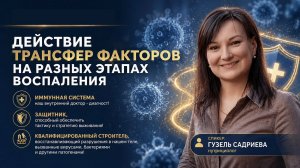 Действие Трансфер факторов на различных этапах воспаления