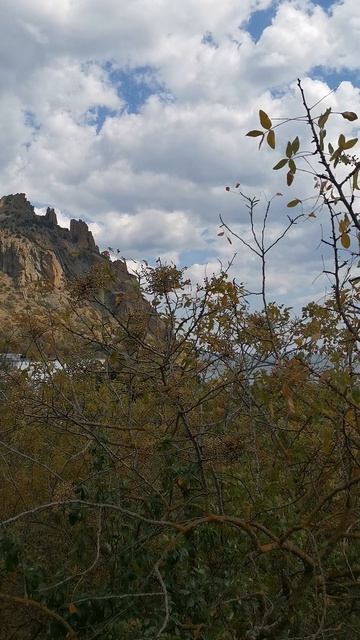 Вид с верхнего парка на гору, п. Курортное. Крым, Россия.