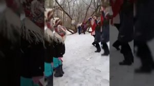 День птиц парк Юбилейный часть II