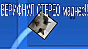 Я ВЕРИФНУЛ СТЕРЕО МАДНЕС?! *стал топ 1? *