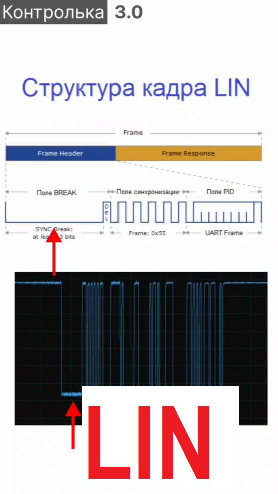 Шина LIN, идентификация Контролькой