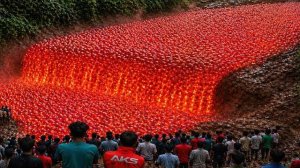 Самые невероятные моменты природы, когда-либо запечатленные на камеру