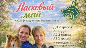Аджилити | Ласковый Май в DogS Hall| 03.05.2026