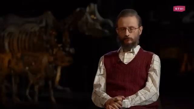 Смешение рас - это полезно? Дробышевский