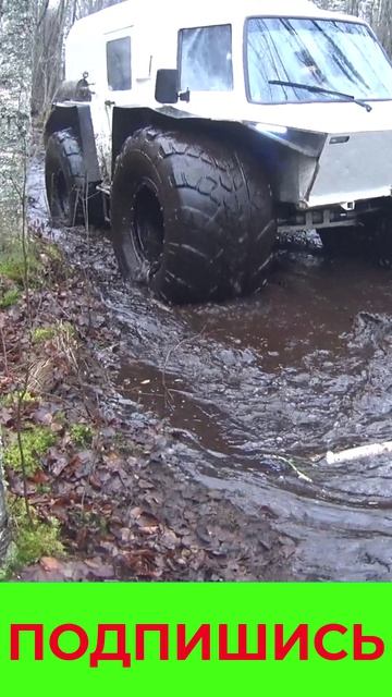 Наш Вездеход Белый Лис Подпишись