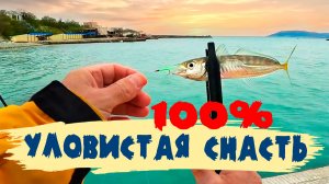 Ловля Ставриды на самодур с берега. Рокфишинг. Кабардинка. Отдых на Чёрном море