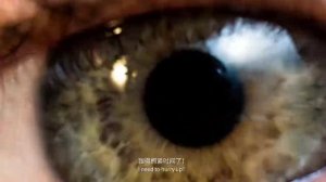 Аlibaba выпустили новый генератор видео — HappyHorse 1.0., модель выдает до 1080p со звуком