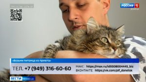 Возьми питомца из приюта. Кузя