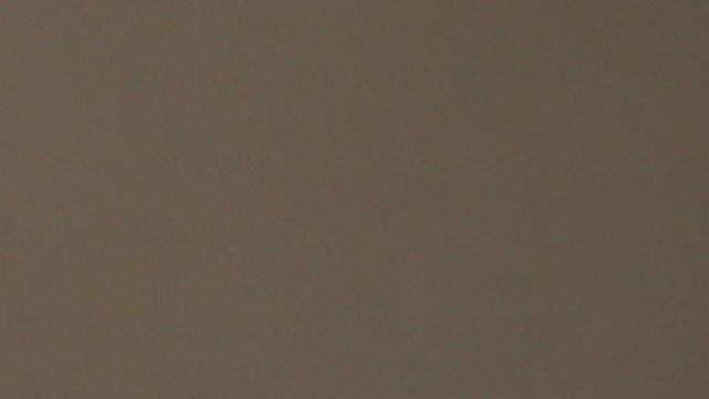 100)я ЗООЭКЗОТАРИУМ