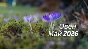 Прогноз для Овнов на Май 2026