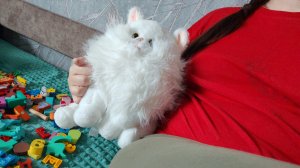 отдыхаем с котом в деревне