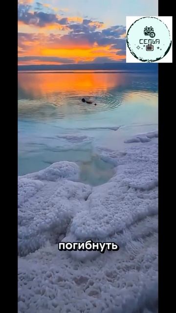 МОЖНО ЛИ УТОНУТЬ В МЁРТВОМ МОРЕ