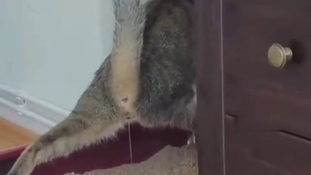 Я в общественном туалете