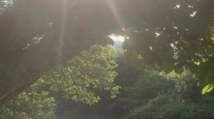 Ладно больше не буду удалять старые видео ( не факт)