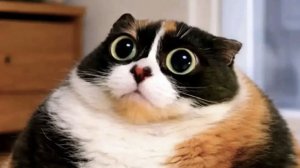 Эдит самому же себе