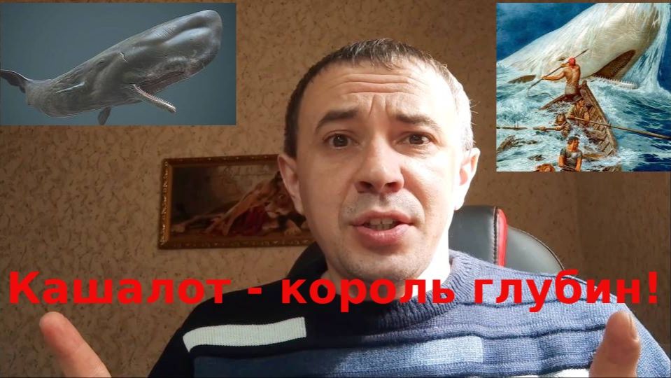 Кашалот - самый литературный кит!