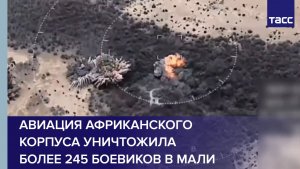 Авиация Африканского корпуса уничтожила более 245 боевиков в Мали