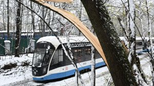 Жителям Москвы и соседних регионов пообещали метель и гололедицу во вторник