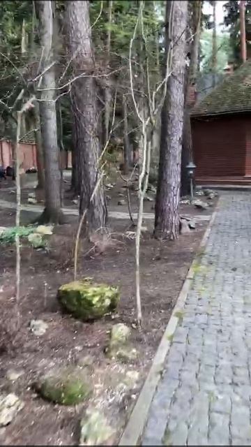 уборка территории 2