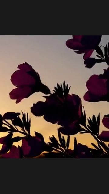 комментарийпонадобности инсайты взаимодействие обратнаясвязь размышления