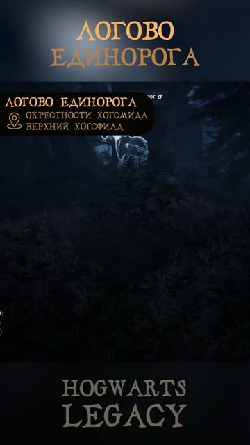 ЕДИНОРОГ   Где найти   Гайд на русском   Hogwarts Legacy   Хогвартс Наследие #shorts