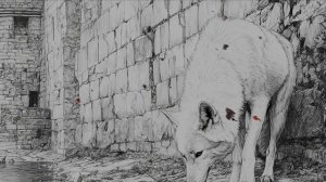 В ветвях Роминты