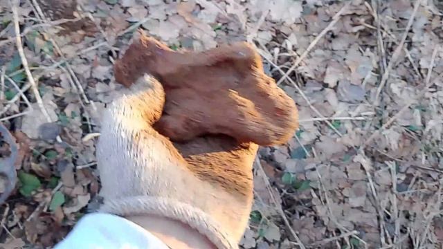 память земли. коп по войне .военная археология.