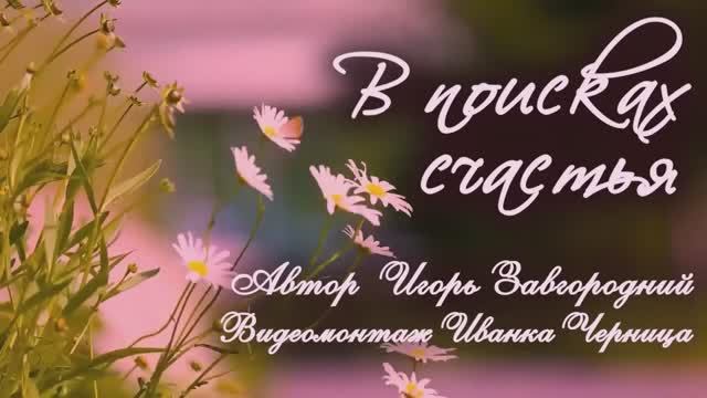 В ПОИСКАХ СЧАСТЬЯ       Игорь Завгородний        Иванка Черница