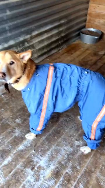 Рей замерзает в приюте